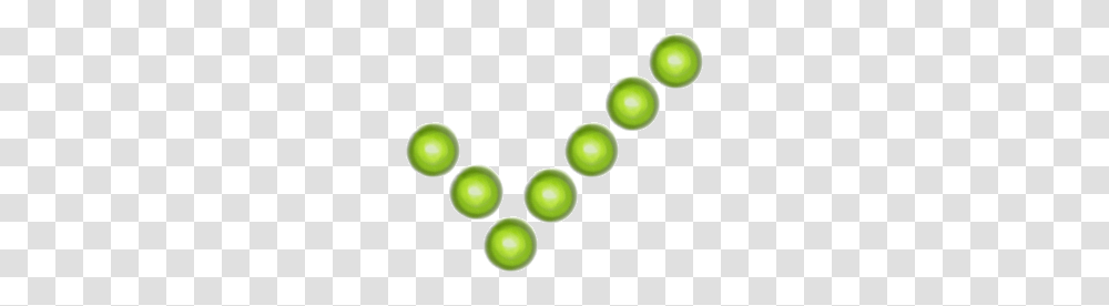 Green Check Dots, Plant, Tennis Ball, Sport, Sports Transparent Png