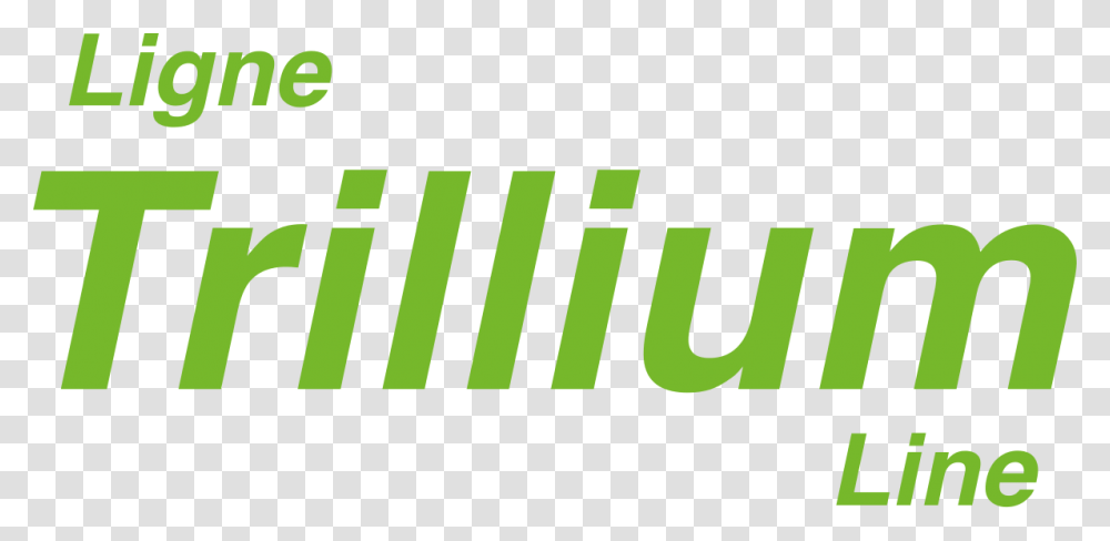 Green Check Mark Trillium Line Graphic Design, Logo, Trademark, Word Transparent Png
