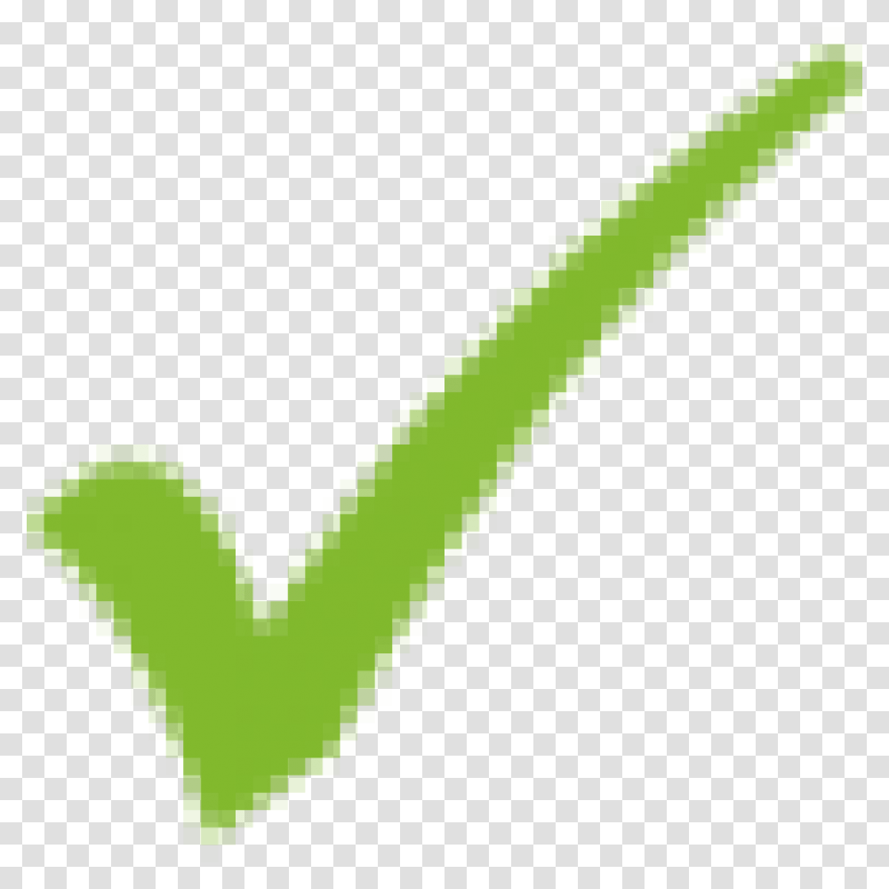 Green Check, Team Sport, Staircase, Tool Transparent Png