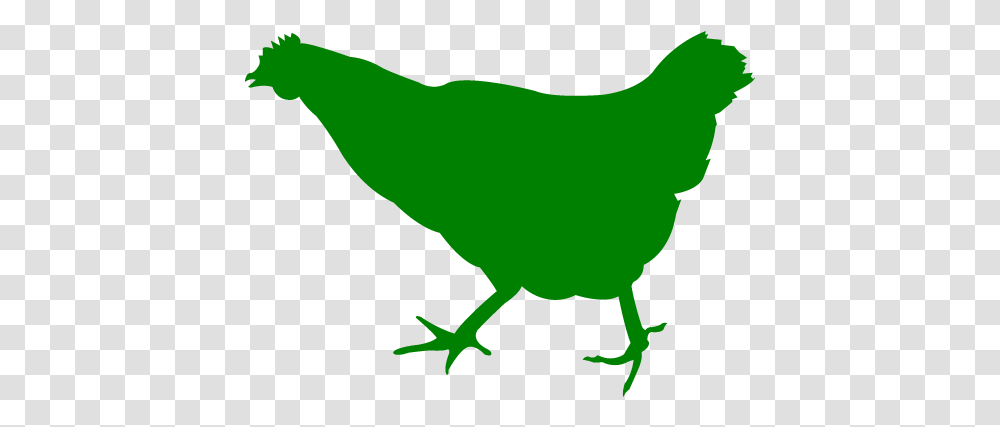Green Chicken 2 Icon Free Green Animal Icons Red Chicken Logo, Bird, Person, Human, Poultry Transparent Png