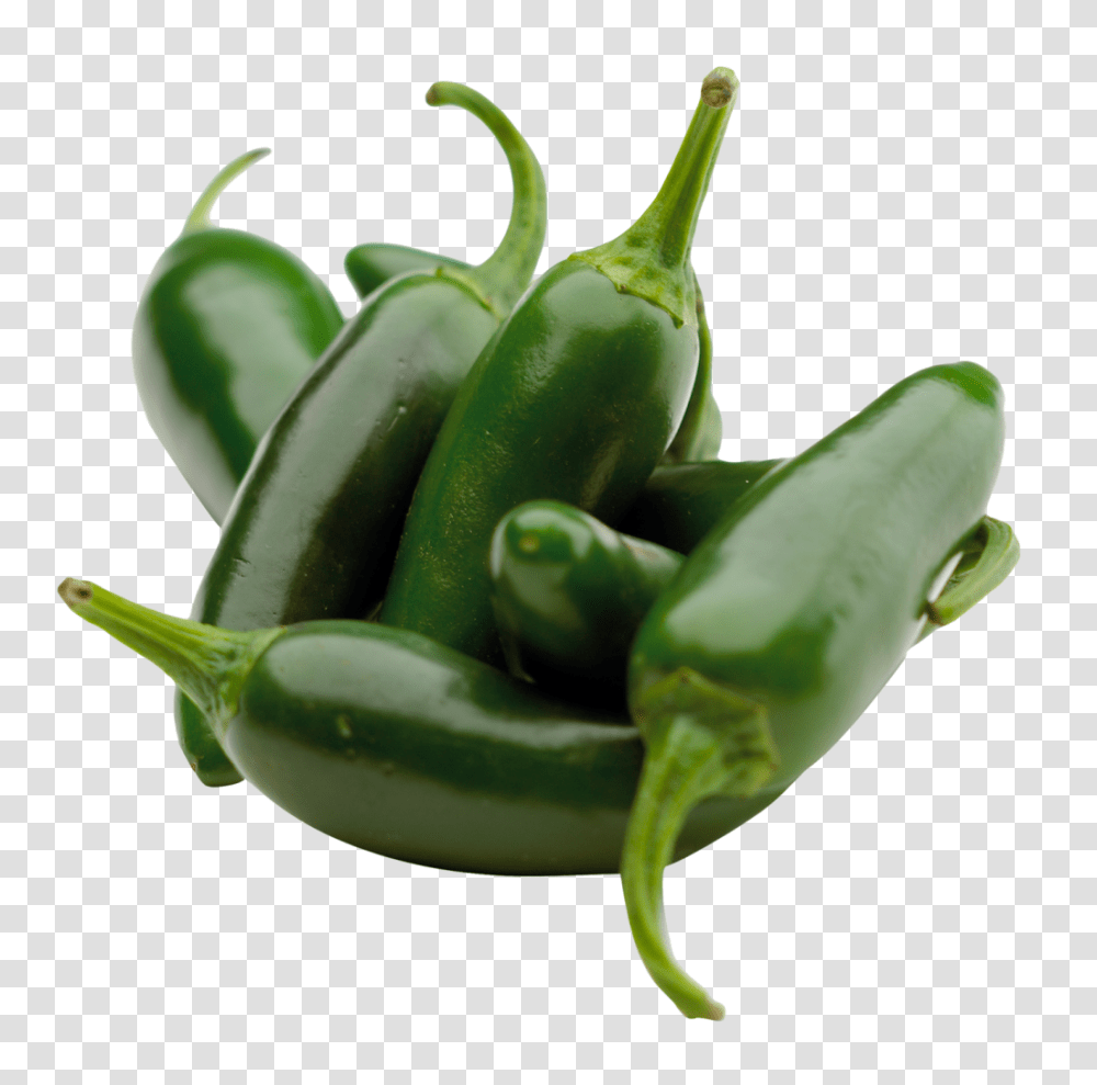 Green Chili Pepper The Verygreen Grocer, Plant, Vegetable, Food, Bell Pepper Transparent Png