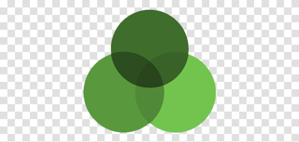 Green Circle It Circle, Tennis Ball, Sport, Sports, Sphere Transparent Png