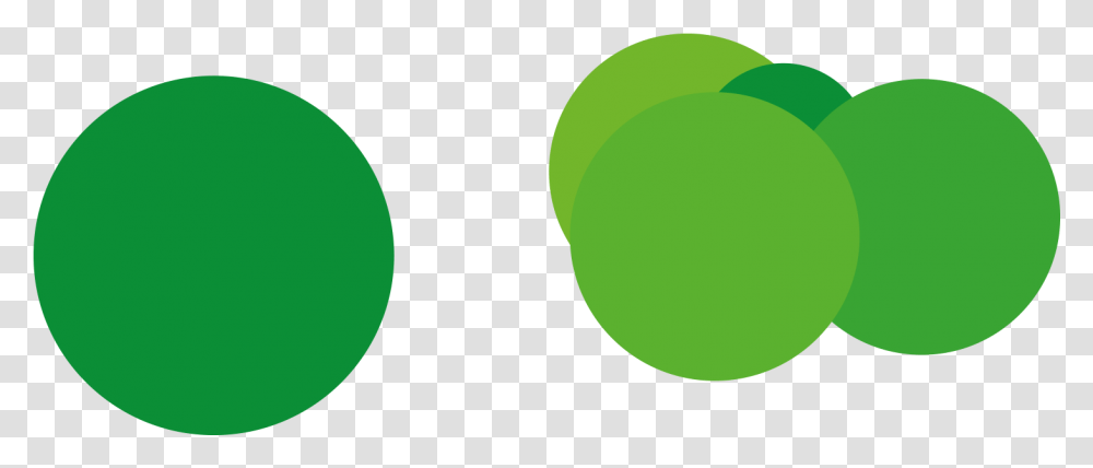Green Circle, Tennis Ball, Sport, Sports, Sphere Transparent Png