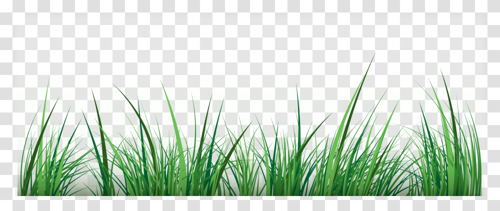Green Clip Art Portable Network Graphics, Grass, Plant, Vegetation, Lawn Transparent Png