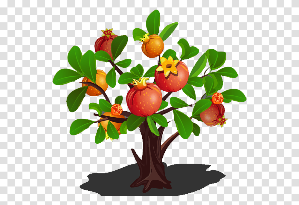 Green Clipart Apple Tree Pomegranate Tree Clipart, Plant, Fruit, Food, Produce Transparent Png