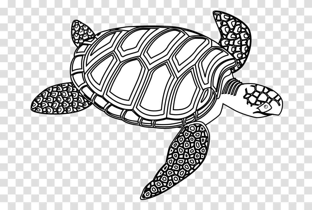 Green Clipart Black And White, Tortoise, Turtle, Reptile, Sea Life Transparent Png