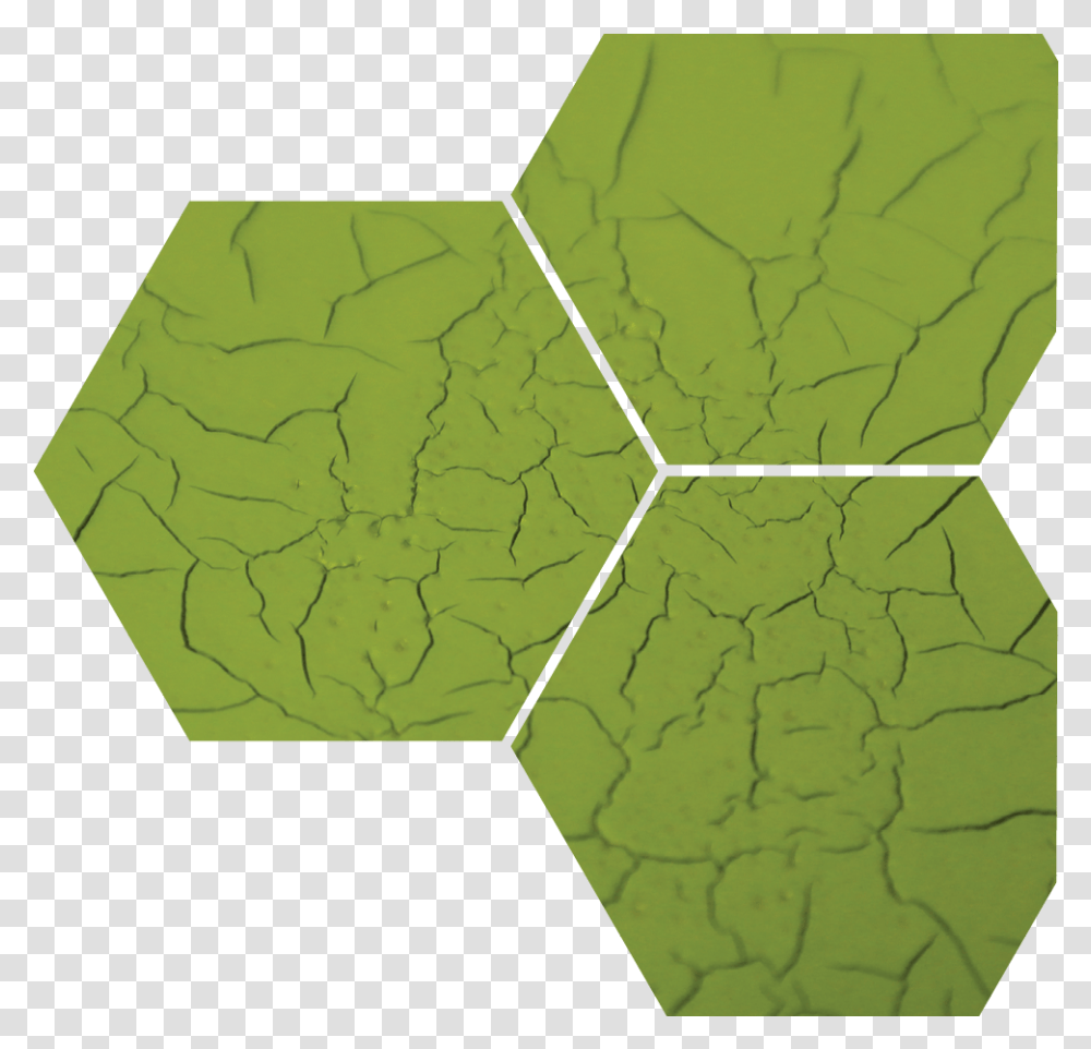 Green Coating Failure 7 Factors Of User Experience, Leaf, Plant, Sphere, Pattern Transparent Png
