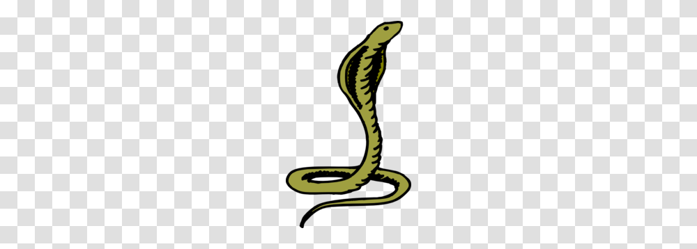 Green Cobra Clip Art, Reptile, Animal, Snake Transparent Png