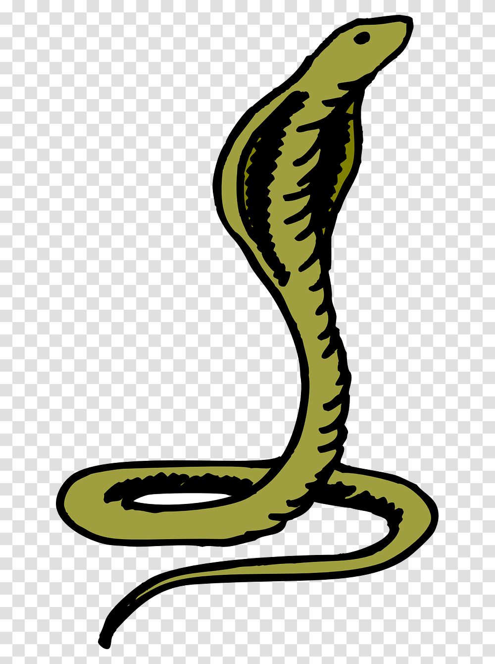 Green Cobra, Reptile, Animal, Snake, Bird Transparent Png