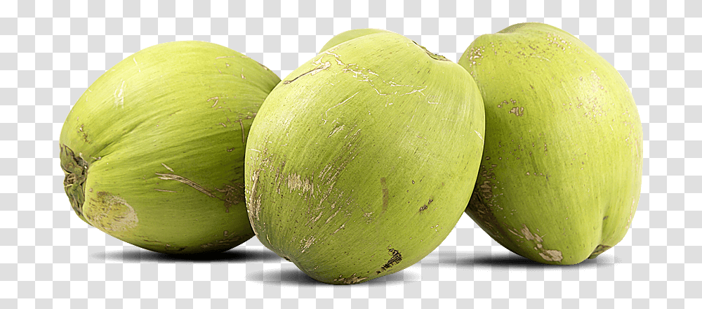Green Coconut Background Coconut Fruit, Plant, Tennis Ball, Sport, Sports Transparent Png