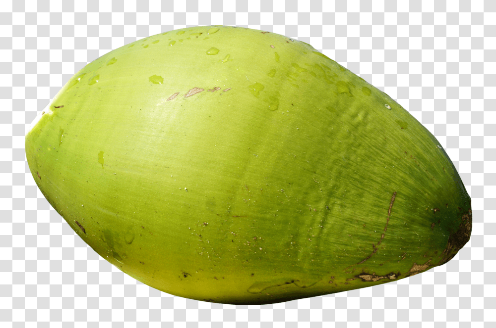 Green Coconut Fruit Image, Plant, Vegetable, Food Transparent Png