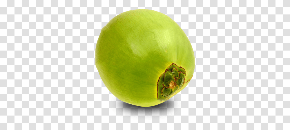 Green Coconut Picture Green Coconut, Tennis Ball, Sport, Sports, Plant Transparent Png