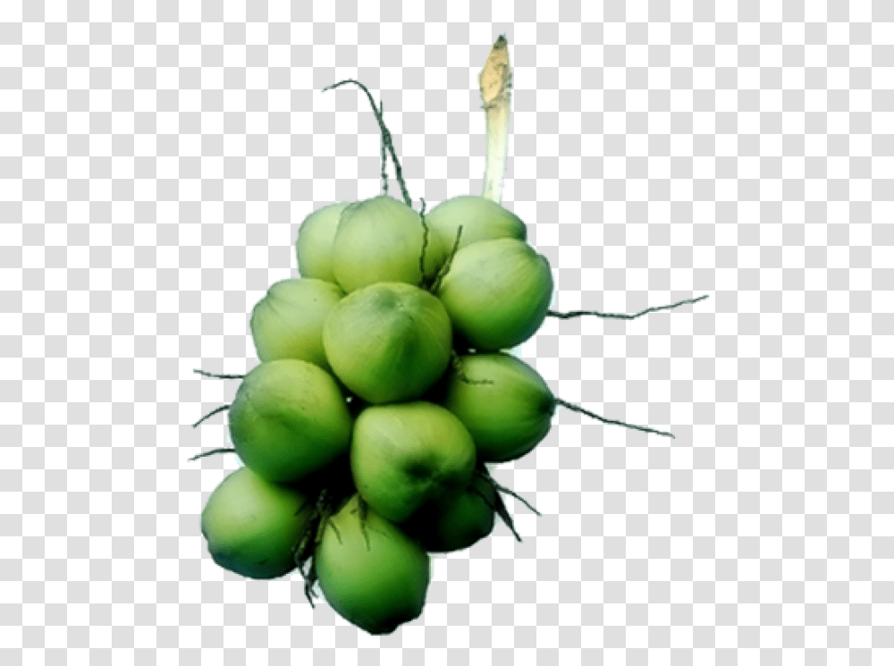 Green Coconut Picture Hardy Kiwi, Plant, Fruit, Food, Vegetable Transparent Png