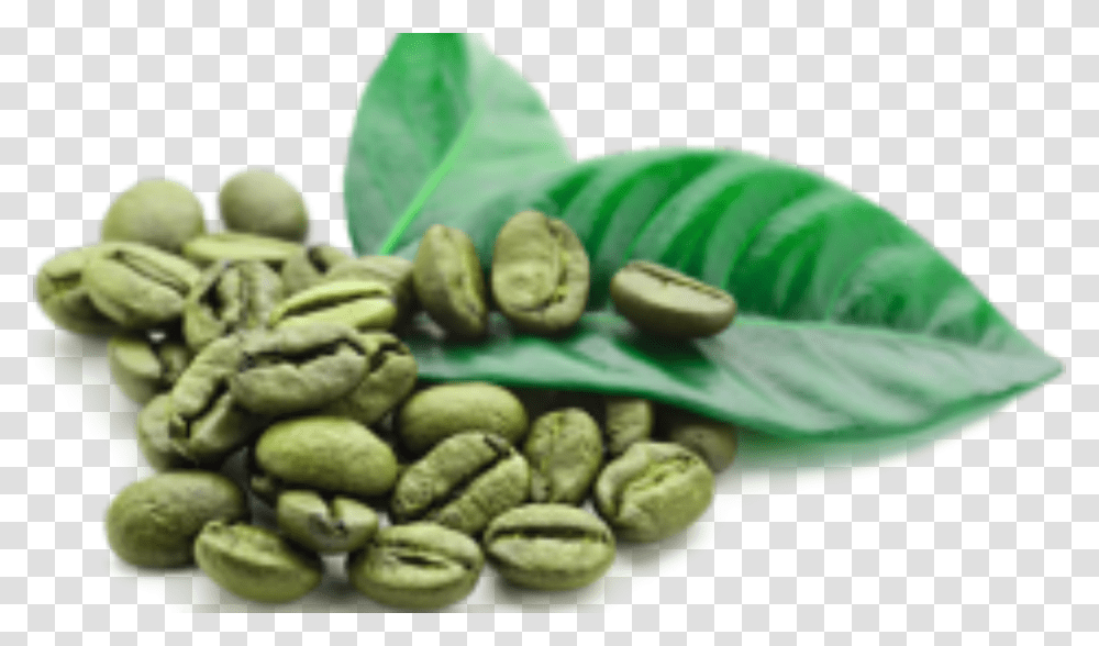 Green Coffee Beans, Plant, Vegetable, Food, Nut Transparent Png