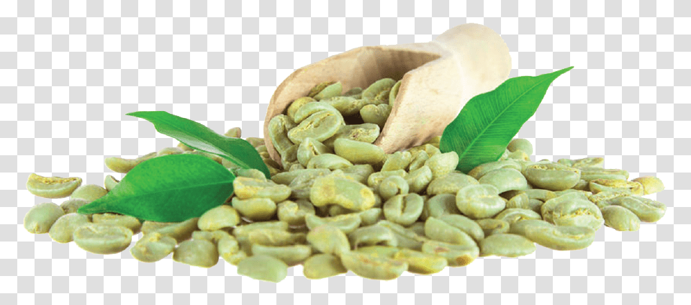 Green Coffee Grano Price In India, Plant, Nut, Vegetable, Food Transparent Png