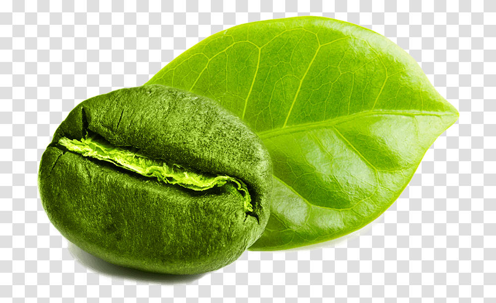 Green Coffee White Background, Leaf, Plant, Tennis Ball, Sport Transparent Png