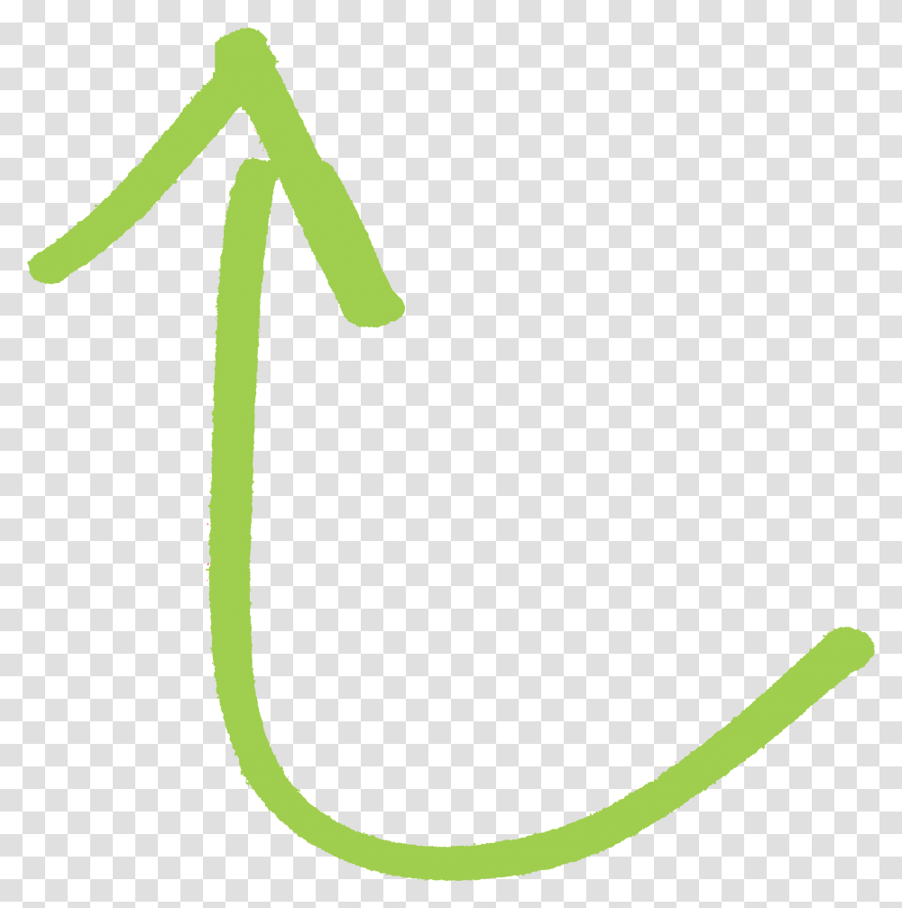 Green Curved Arrow Free Green Arrow Thin, Plant Transparent Png