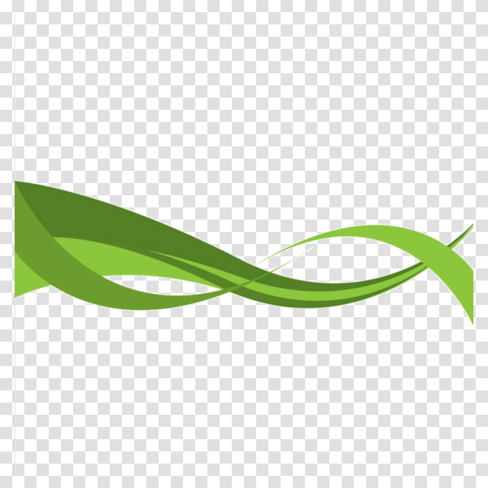 Green Curved Line, Animal, Reptile Transparent Png