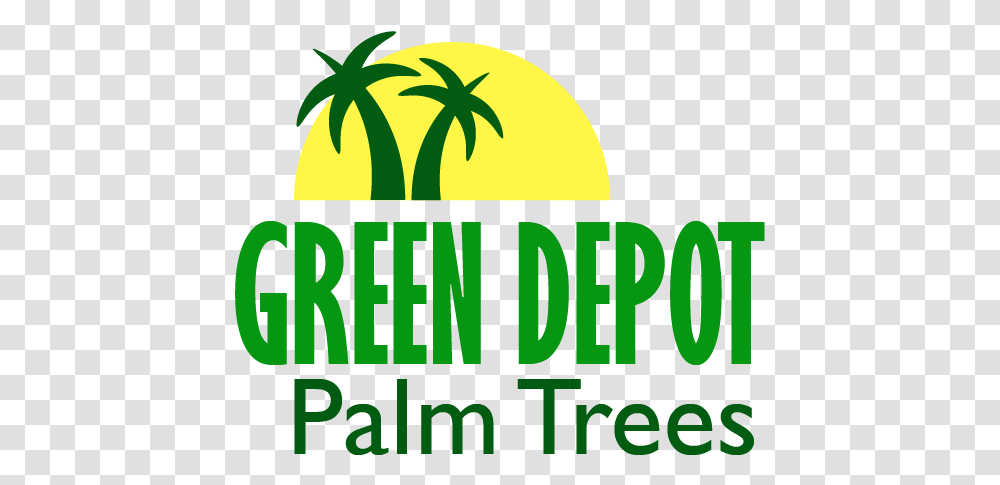 Green Depot Palm Trees > Contactus Clip Art, Potted Plant, Vase, Jar, Pottery Transparent Png