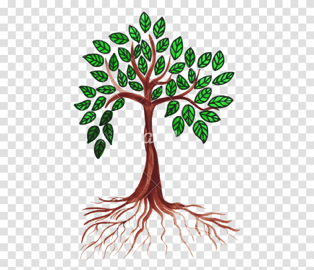 Green Drawing Tree Tree Drawing With Leaves, Plant, Root, Vegetation, Flower Transparent Png