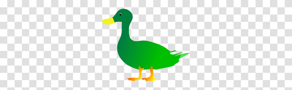 Green Duck Clip Art, Bird, Animal, Waterfowl Transparent Png