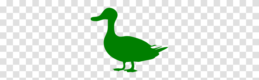 Green Duck Clip Arts For Web, Animal, Bird Transparent Png