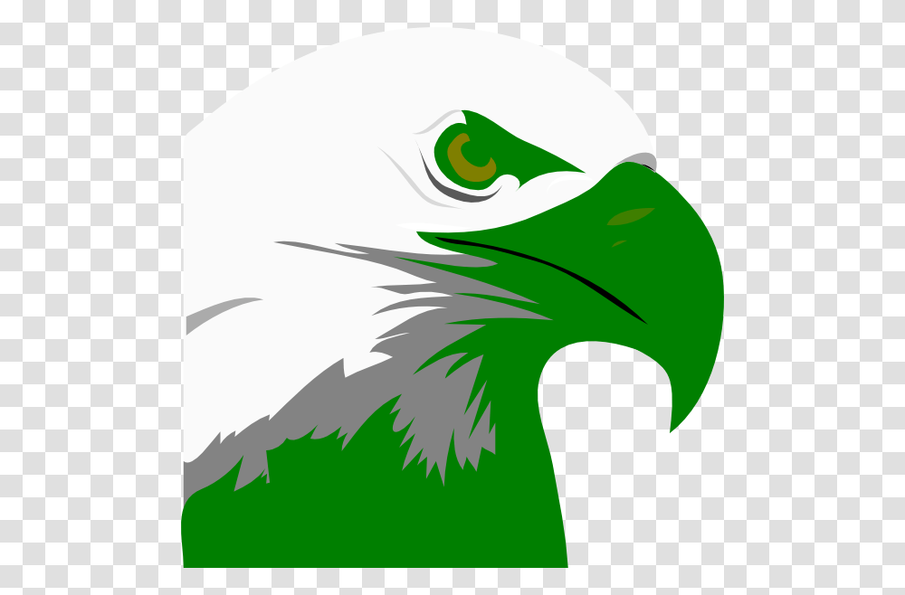 Green Eagle Head Clip Art, Bird, Animal, Beak, Bald Eagle Transparent Png