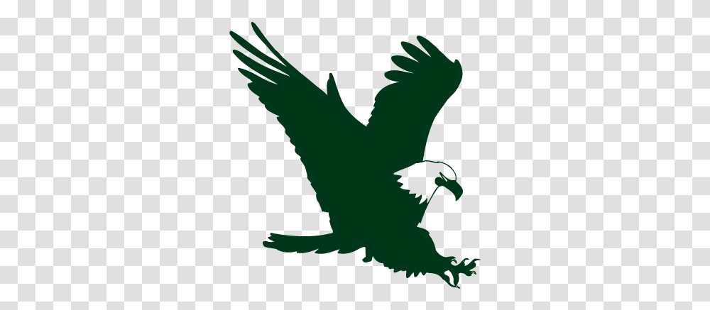 Green Eagle Logo Image With No, Animal, Bird, Flying, Graphics Transparent Png