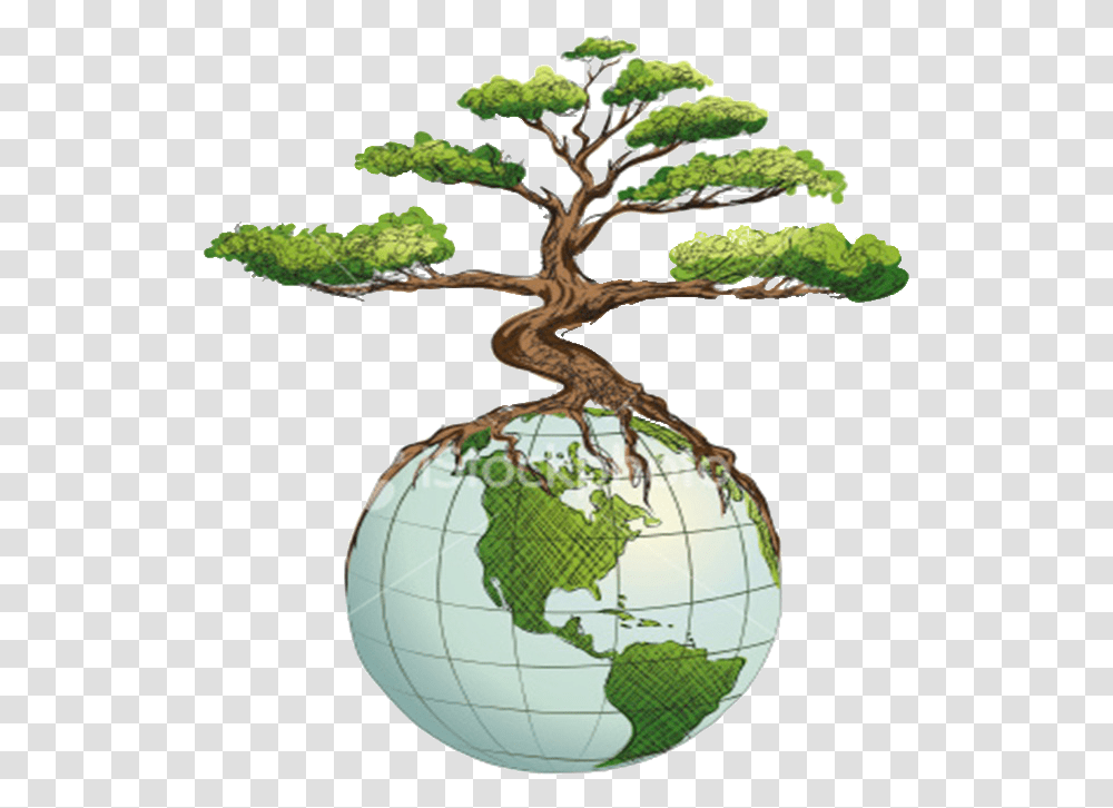 Green Earth Appraisals, Plant, Tree, Potted Plant, Vase Transparent Png