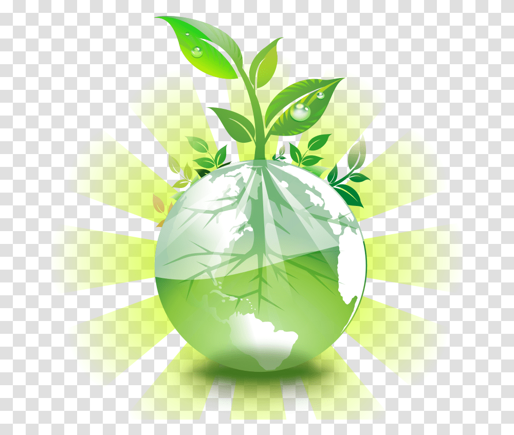 Green Earth, Plant, Fruit, Food, Citrus Fruit Transparent Png