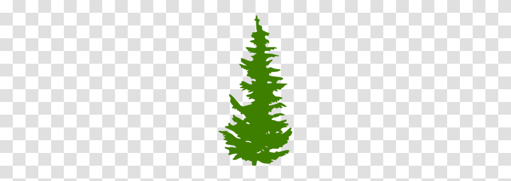 Green Evergreen Tree Clip Art, Plant, Fir, Abies, Ornament Transparent Png