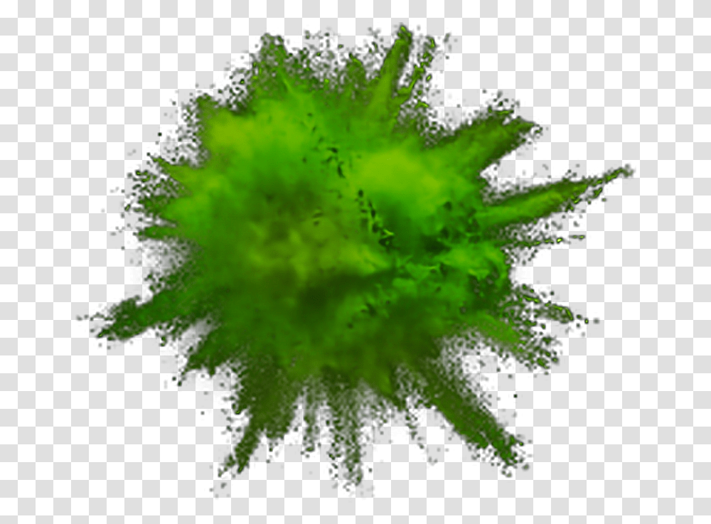 Green Explosion Powder Color Dust Explosion 792x676 Background Color Smoke, Ornament, Pattern, Fractal, Crystal Transparent Png