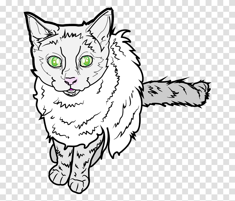 Green Eyed Kitten Clipart Domestic Short Haired Cat, Tiger, Wildlife, Mammal, Animal Transparent Png