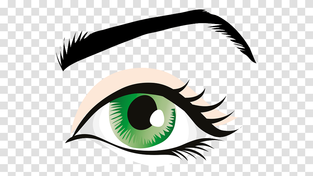 Green Eyes Eyelid Iris Eyebrows Brows Seeing Drawing Animal Transparent Png Pngset Com