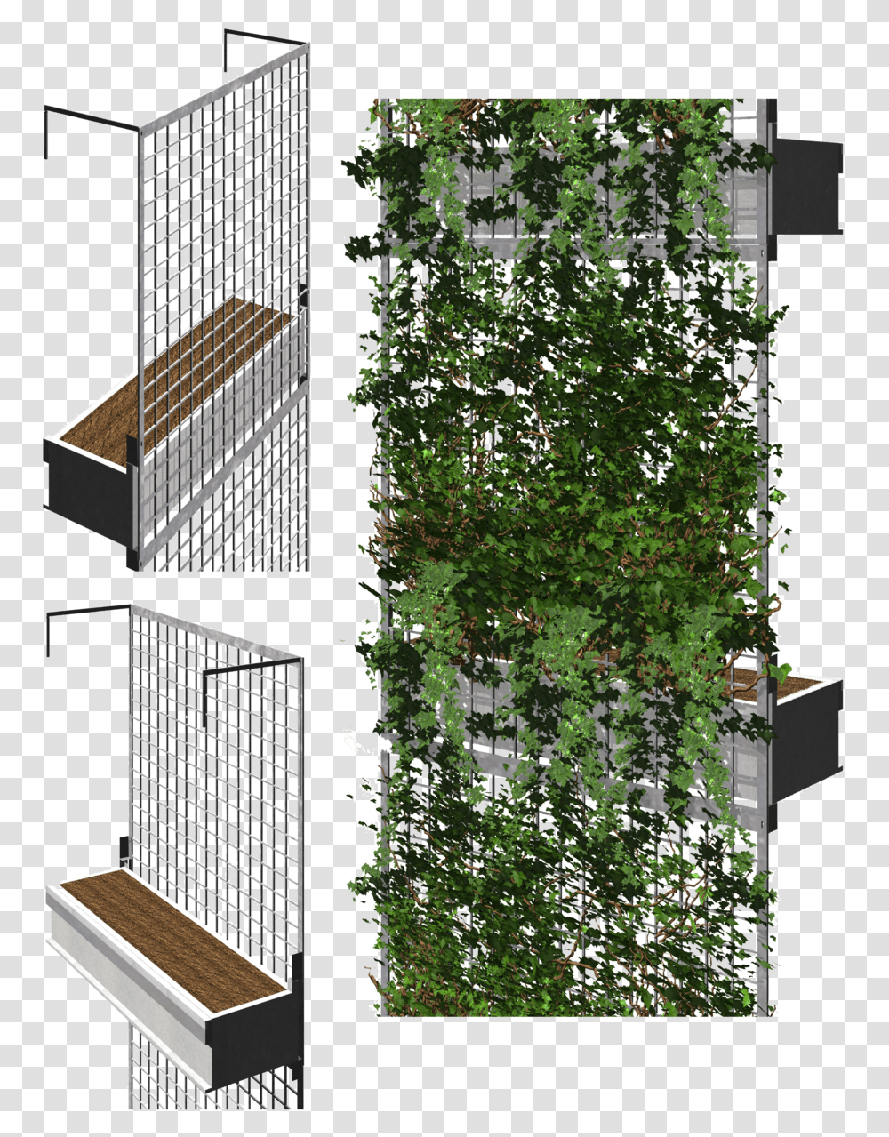 Green Facade, Plant, Neighborhood, Urban, Building Transparent Png
