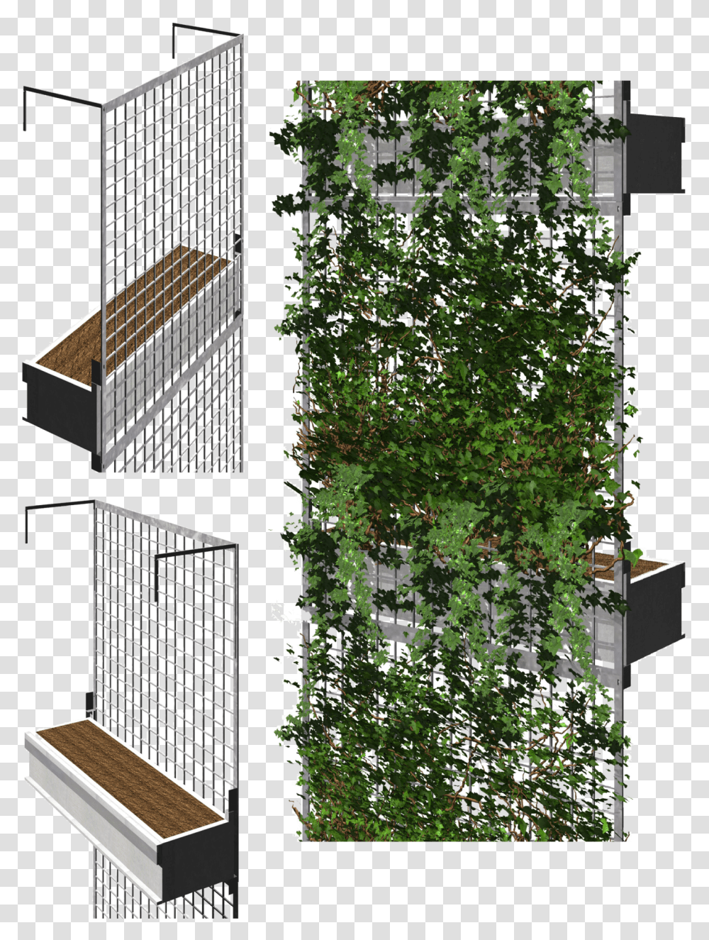 Green Facade System, Plant, Handrail, Ivy, Neighborhood Transparent Png