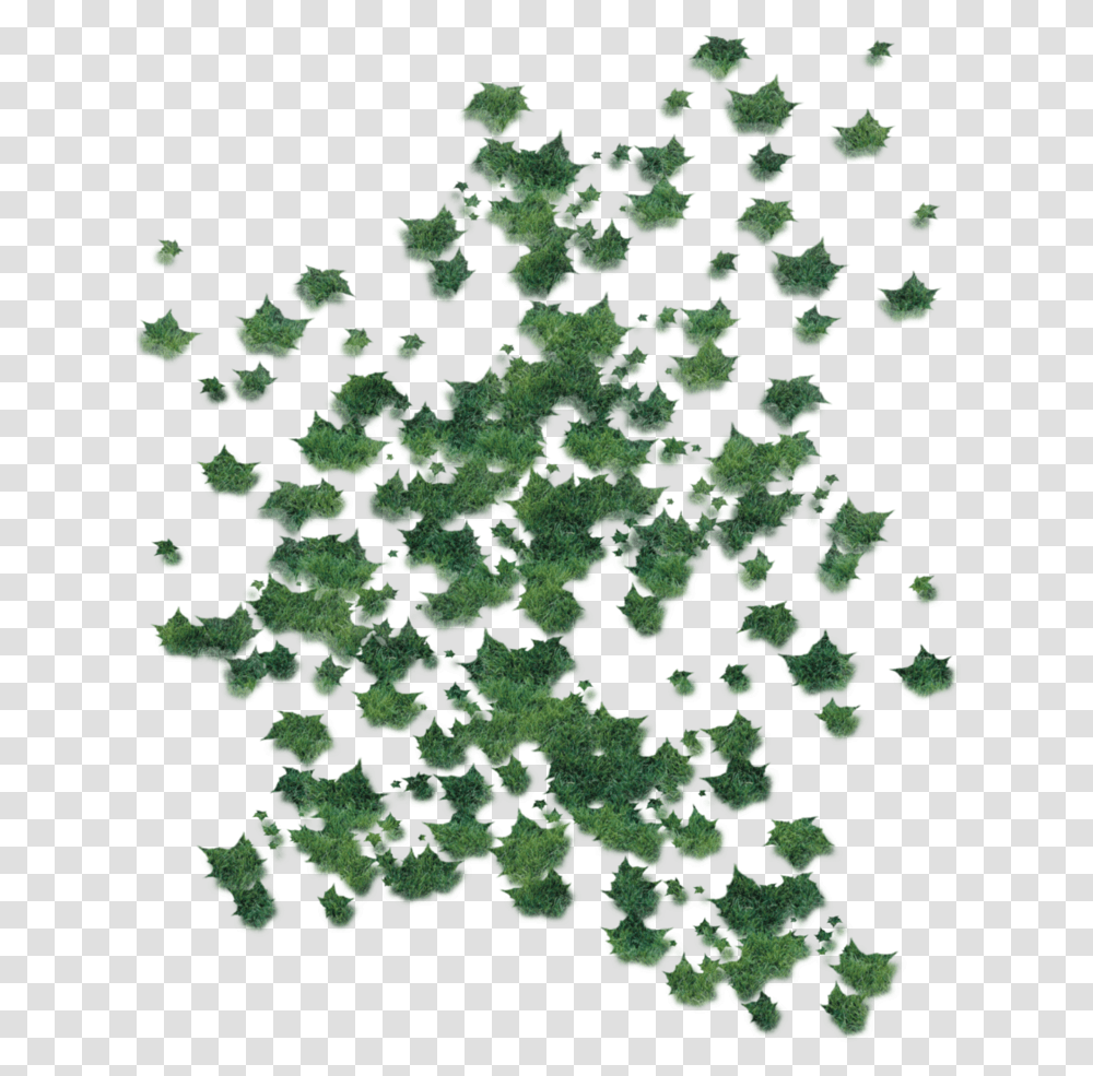 Green Fallen Leaves, Scenery, Outdoors, Nature, Rug Transparent Png