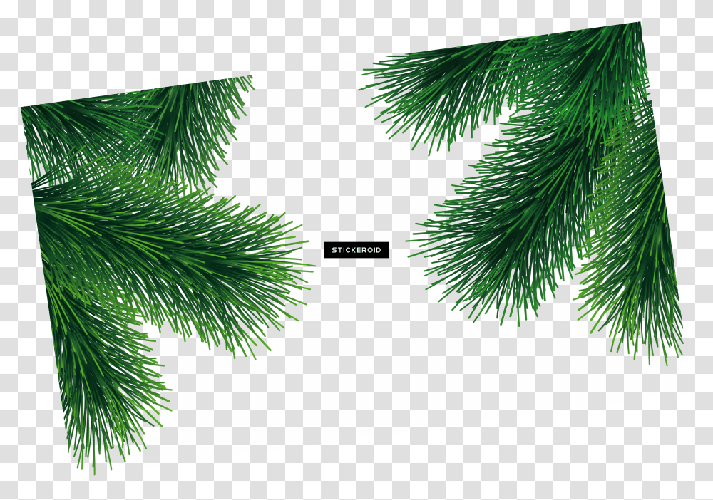 Green Fir Tree Download Christmas Tree Branch Transparent Png