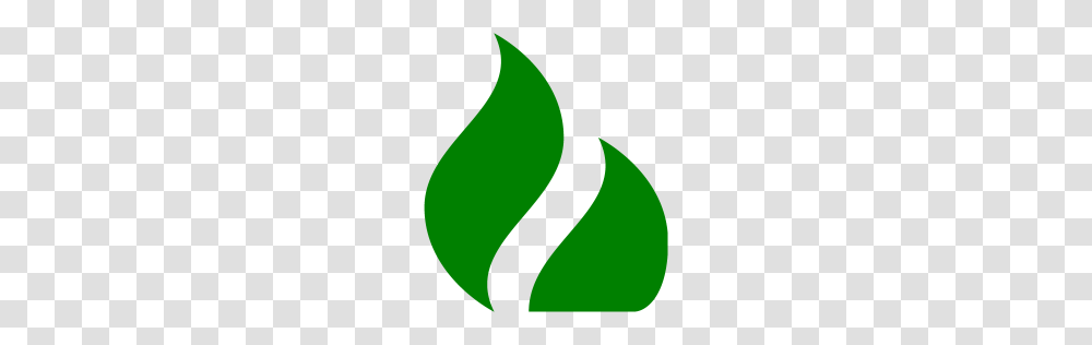 Green Fire Icon, Plant, Meal Transparent Png