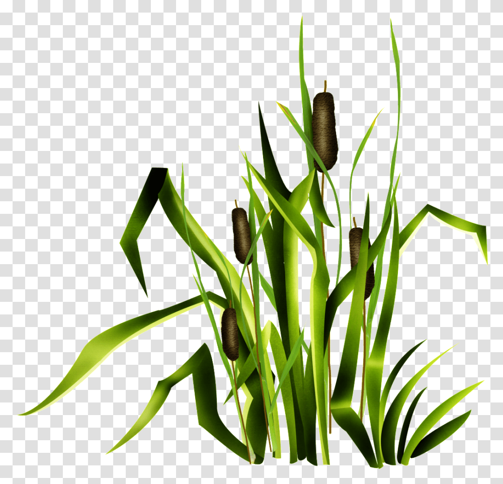 Green Flower And Grass Free Download Vector, Plant, Leaf, Tulip, Blossom Transparent Png