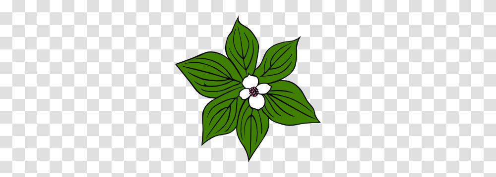 Green Flower Clip Art, Leaf, Plant, Pattern, Floral Design Transparent Png