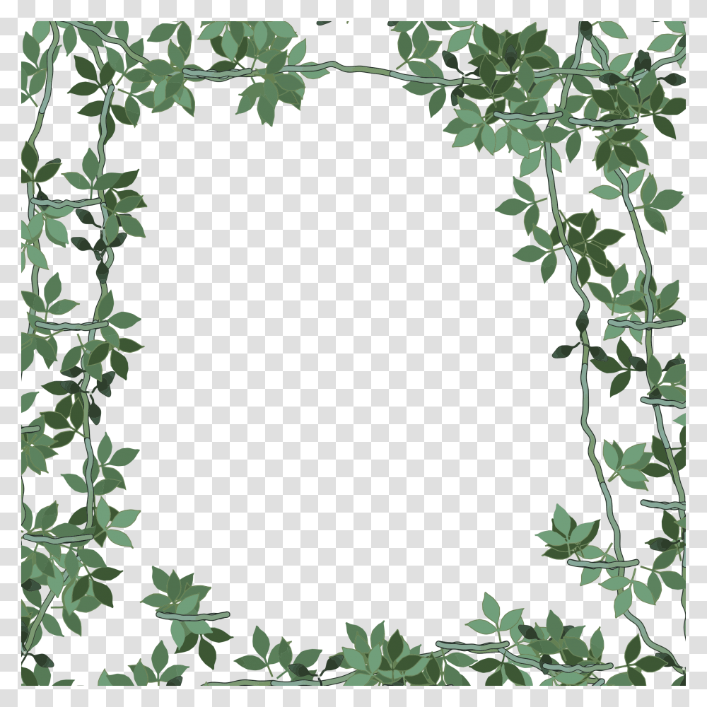 Green Flower Frame, Plant, Hole, Leaf, Blossom Transparent Png