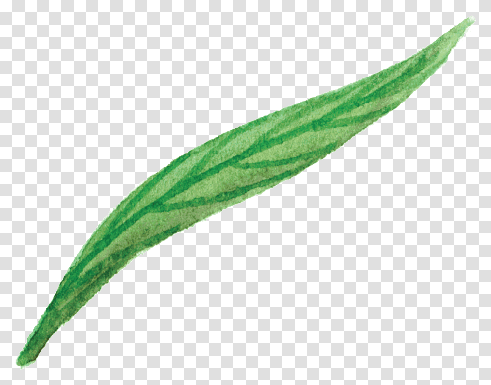 Green Flower Leaf Cartoon Transparente Flower, Plant, Vegetable, Food, Produce Transparent Png