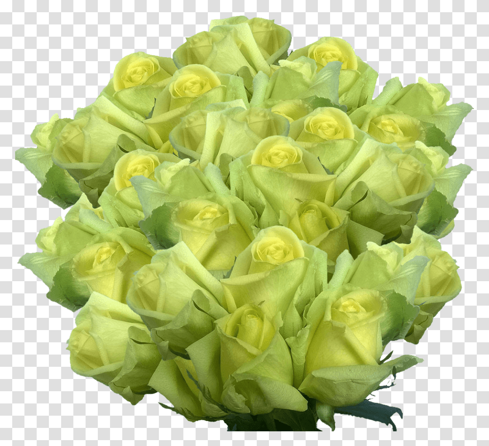 Green Flowers, Plant, Blossom, Flower Bouquet, Flower Arrangement Transparent Png