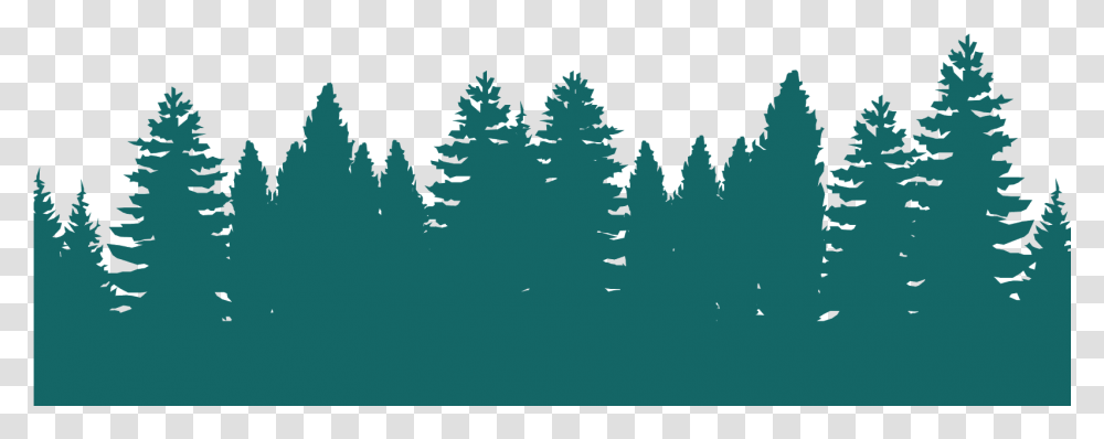 Green Forest Silhouette Download, Tree, Plant, Fir, Pine Transparent Png