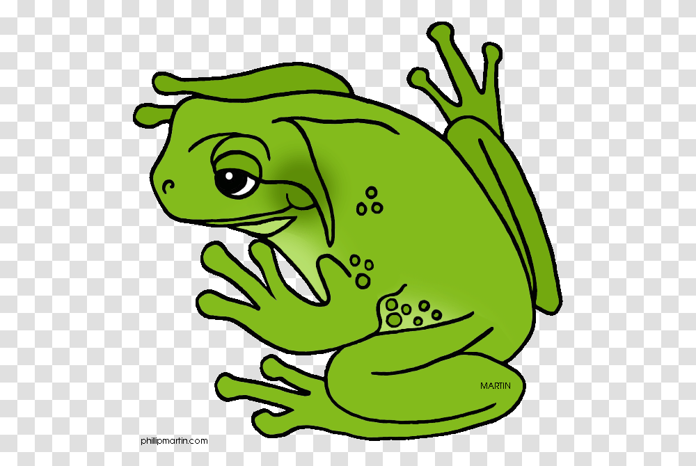 Green Frog Clipart Cool Frog Green Tree Frog Clipart, Amphibian, Wildlife, Animal Transparent Png