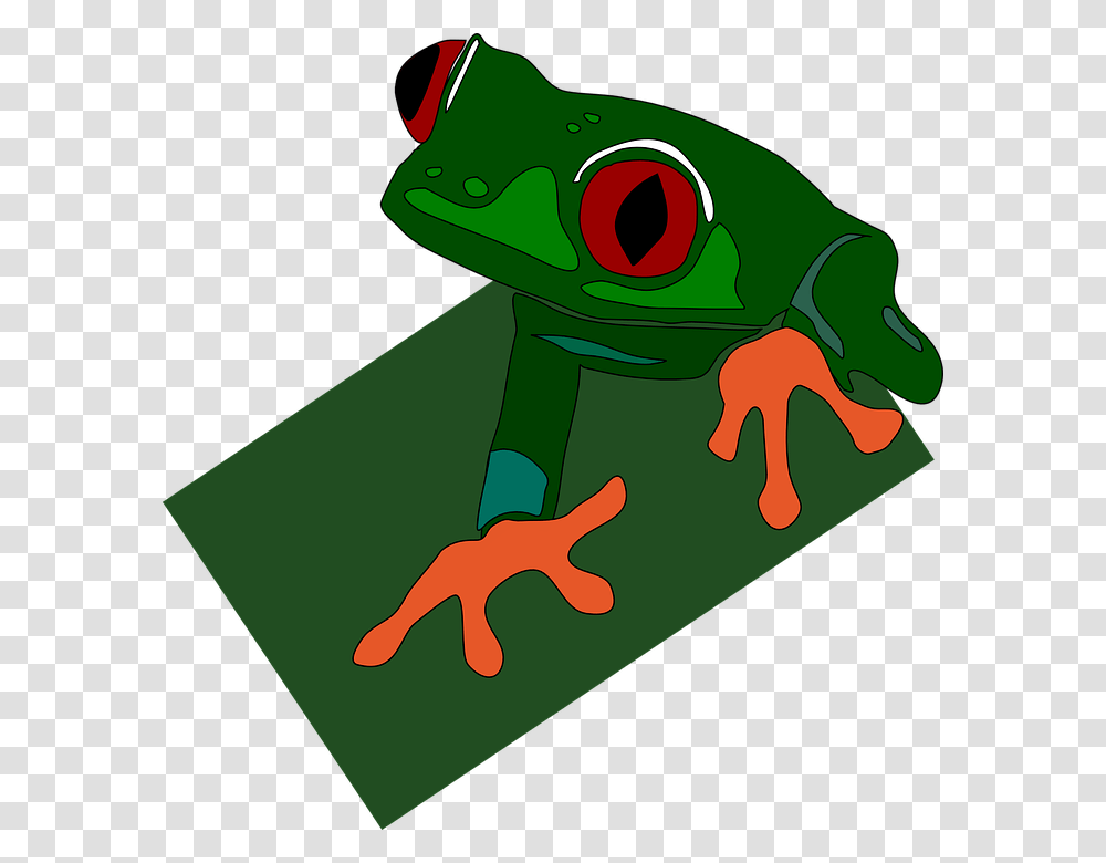 Green Frog Red Eye Feet Eyed Sticky Eyes Green Dart Frog Clipart, Amphibian, Wildlife, Animal, Tree Frog Transparent Png