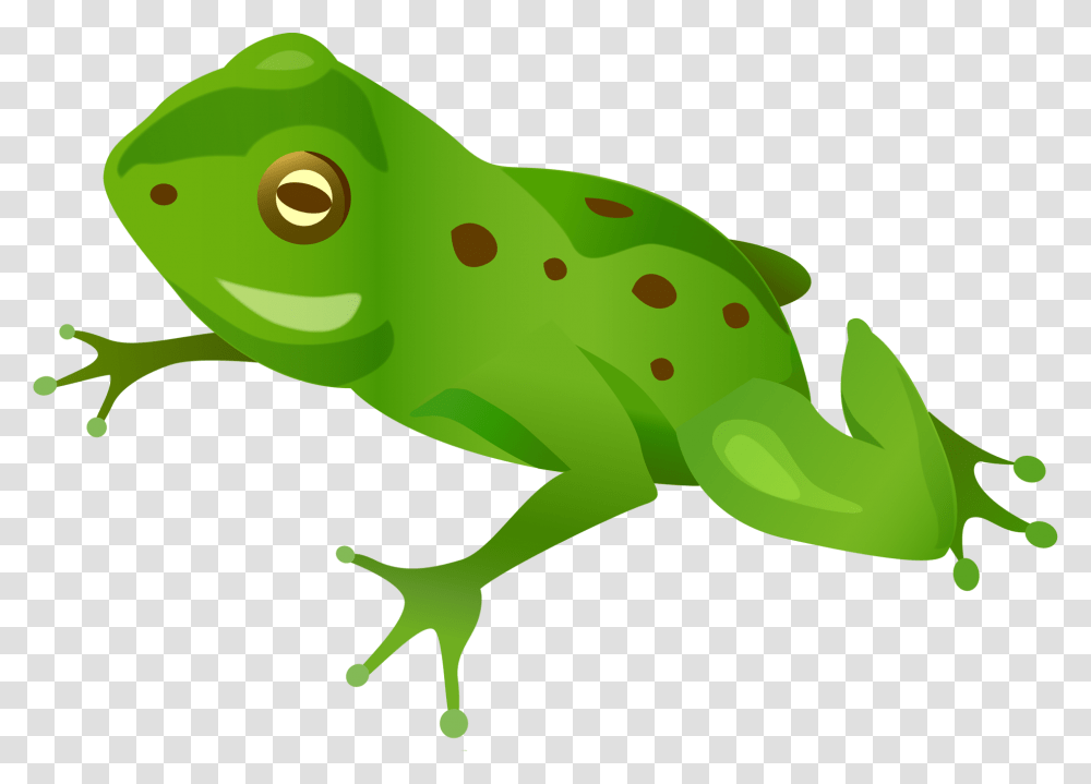 Green Frog, Reptile, Animal, Green Lizard, Gecko Transparent Png