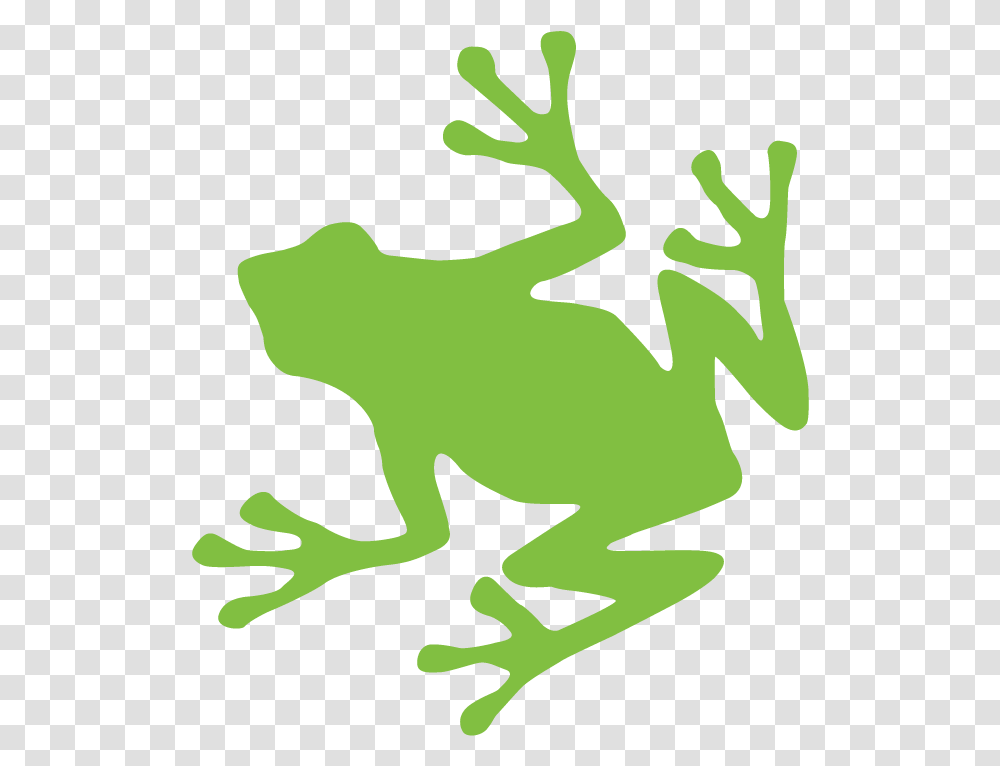 Green Frog Retina Graphic Sea Turtle Emoji Copy And Paste, Amphibian, Wildlife, Animal, Tree Frog Transparent Png
