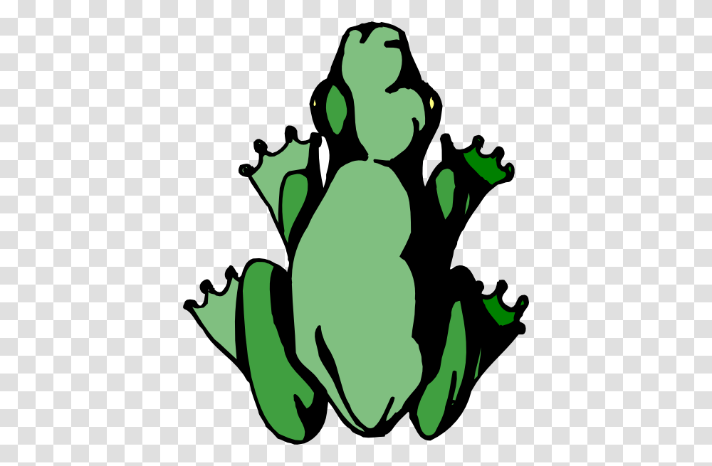 Green Frog Top View Clipart For Web, Plant, Wildlife, Animal, Amphibian Transparent Png